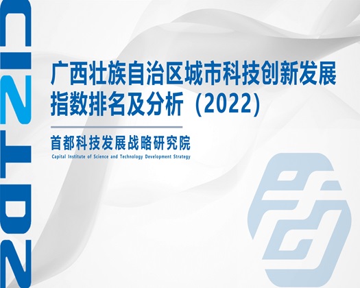 淫穴在线视频【成果发布】广西壮族自治区城市科技创新发展指数排名及分析（2022）